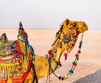 kutch-img